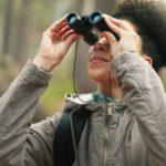 Hiking, forest and woman with binocular watch nature scenery, view or bird watching while trekking
