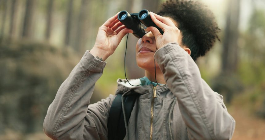 Hiking, forest and woman with binocular watch nature scenery, view or bird watching while trekking